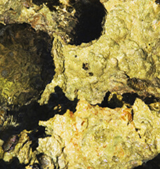 Material image 3