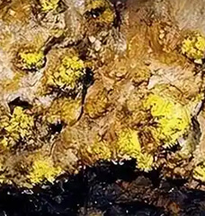 Material image 5
